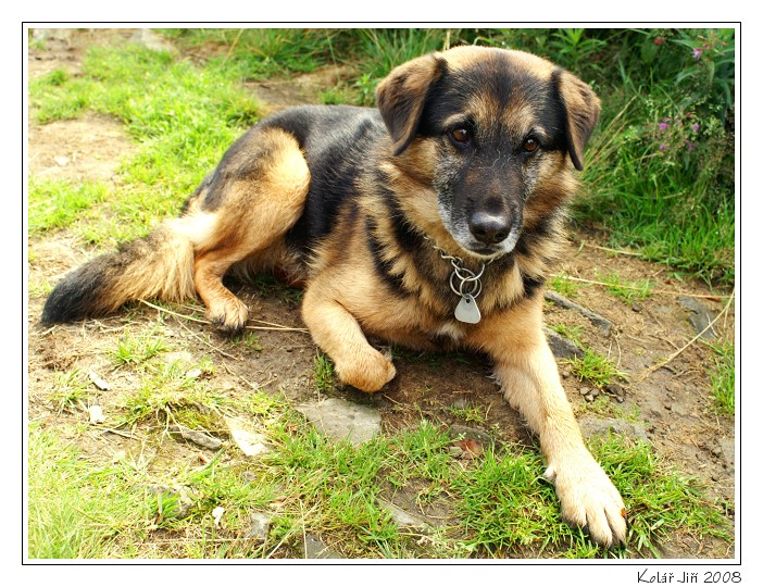 PICT2822 orez (1).jpg
