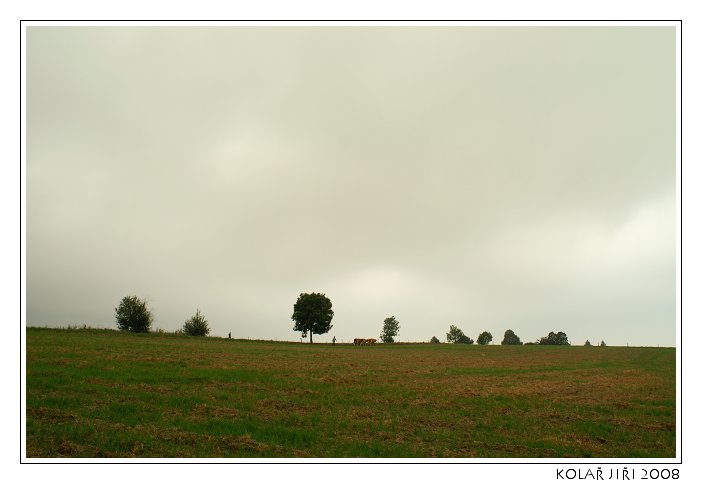 PICT7277 (1).jpg